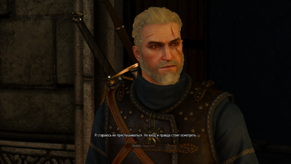 witcher3 2015-06-06 00-34-45-71.png