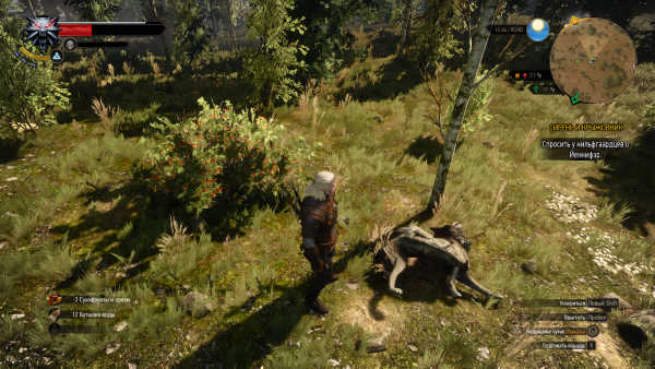 witcher3 2015-05-19 08-30-03-09.png