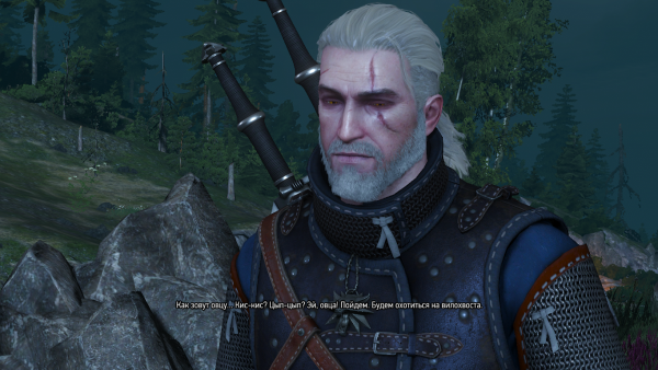 witcher3 2015-06-06 15-15-36-84.png