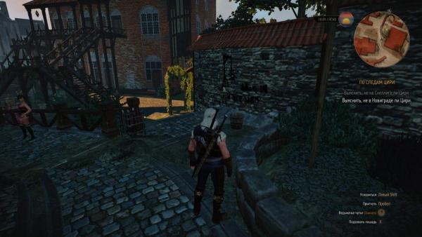 witcher3 2015-06-18 20-50-01-86.jpg