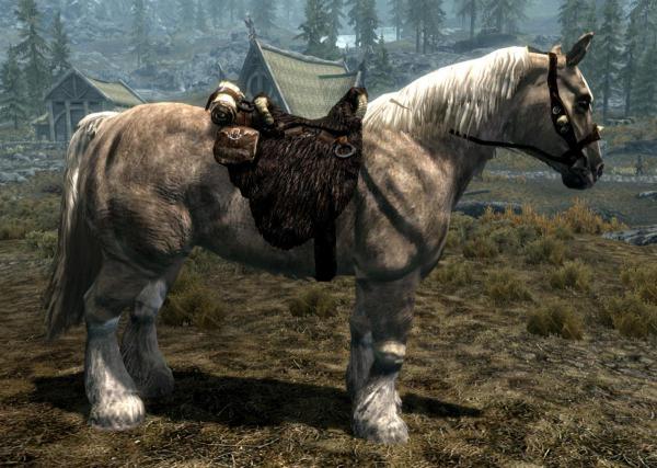 skyrim-horse.jpg