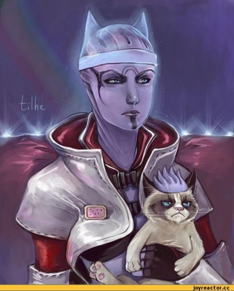 mass-effect-Grumpy-Cat-песочница-519757.jpeg