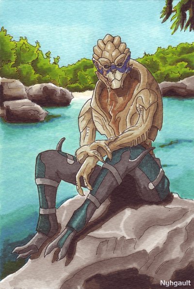 garrus_vakarian_by_nyhgault-d3g8flm.jpg